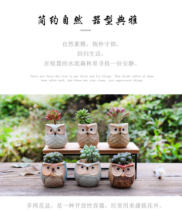 图片71